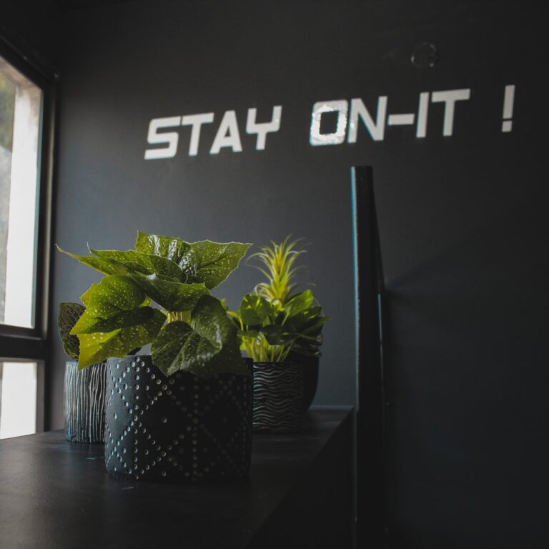 תמונת אזור קבלה